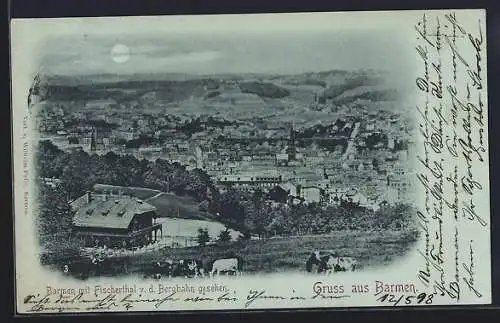 AK Barmen, Stadt und Fischerthal von der Bergbahn gesehen