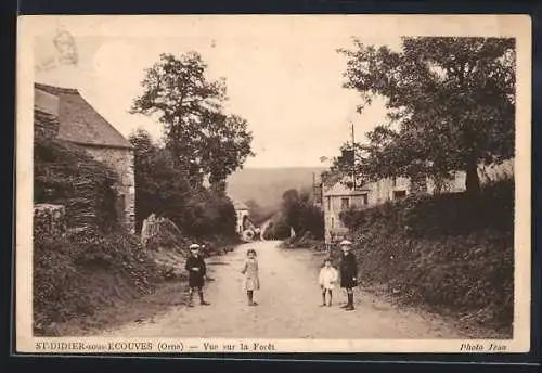 AK St-Didier-sous-Ecouves, Vue sur la Forêt