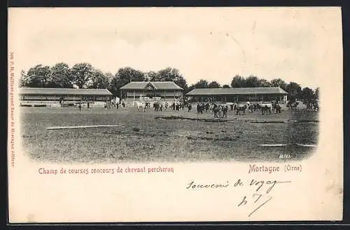 AK Mortagne /Orne, Champ de courses concours de chevant percheron