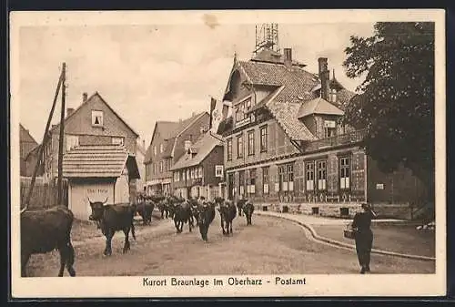 AK Braunlage / Oberharz, Ochsenherde am Postamt