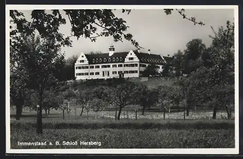 AK Immenstaad a. B., Schloss Hersberg