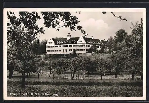 AK Immenstaad a. B., Schloss Hersberg