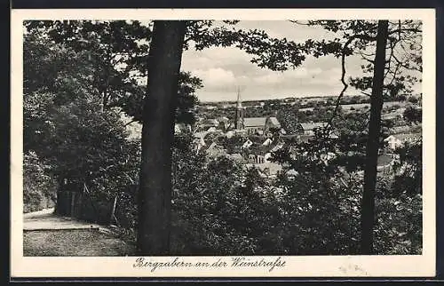 AK Bergzabern, Blick auf den Ort an der Weinstrasse