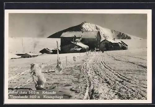 AK Lucny chata, Wiesenbaude, Winterpanorama