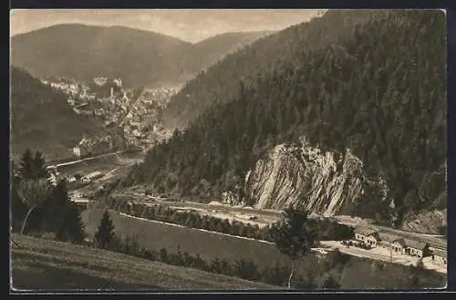 AK Triberg /Schwarzwald, Blick vom Hohnen