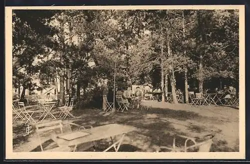 AK La Roche-d`Oetre /Bréel, Domaine de La Roche-d`Oetre A. Loudière, Salon de Thé, Jardin