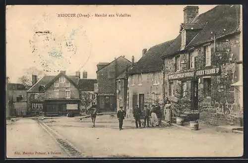 AK Briouze /Orne, Marché aux Volailles