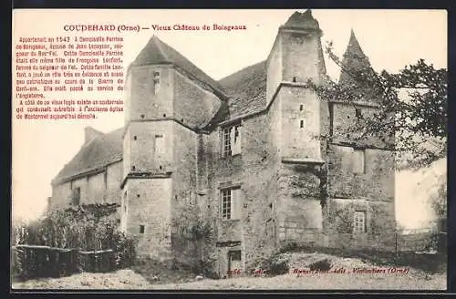 AK Coudehard /Orne, Vieux Chateau de Boisgeaux