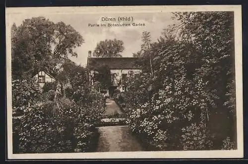 AK Düren /Rhld., Partie im Botanischen Garten