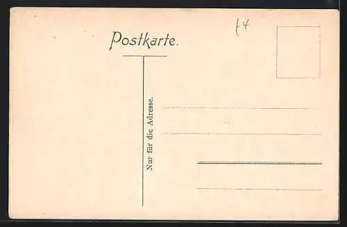 AK Assmannshausen a. Rh., Dichter- u. Künstlerheim zur Krone mit Kronenlaube und Dampfschiff