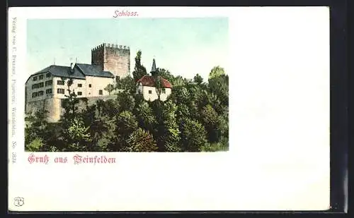 AK Weinfelden, Blick auf das Schloss