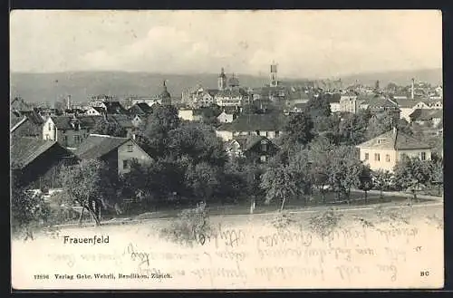 AK Frauenfeld, Panoramablick vom Ort