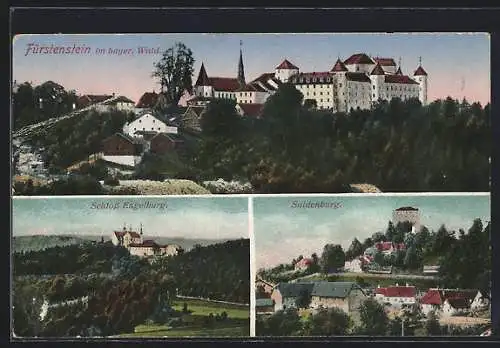 AK Fürstenstein im bayer. Wald, Schloss Engelburg und Saldenburg
