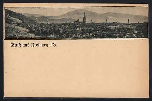 AK Freiburg i. B., Panorama der Ortschaft