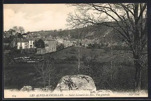 AK Saint-Léonard-des-Bois, Vue generale