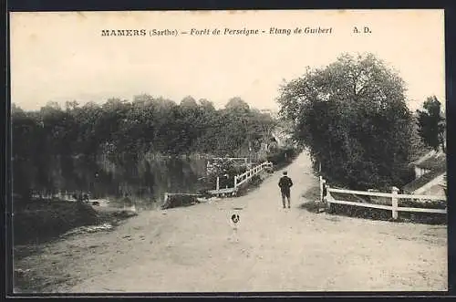 AK Mamers /Sarthe, Foret de Perseigne, Etang de Guibert