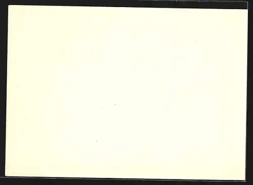 AK Hannover, Messe, Die Hallen 16A, 16B und 16C