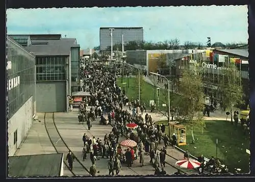 AK Hannover, Messe, Ausstellungsgelände mit Besuchern