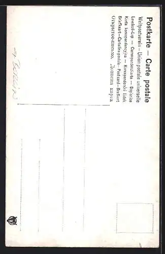 AK Berlin, Partie aus dem Tiergarten