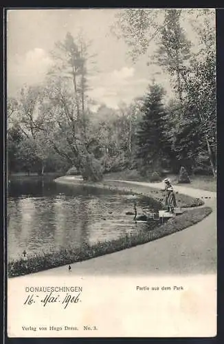 AK Donaueschingen, Parkpartie mit Teich