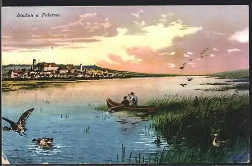 AK Buchau / Federsee, Ortsblick über den Federsee mit Wildgänsen