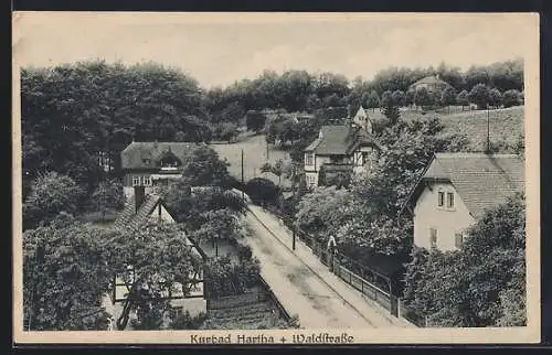 AK Hartha / Tharandt, Waldstrasse aus der Vogelschau