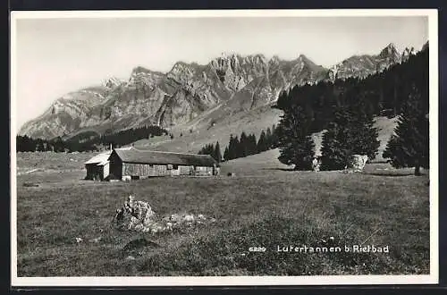 AK Nesslau, Lutertannen b. Rietbad, Panorama mit Hofhaus und Bergen