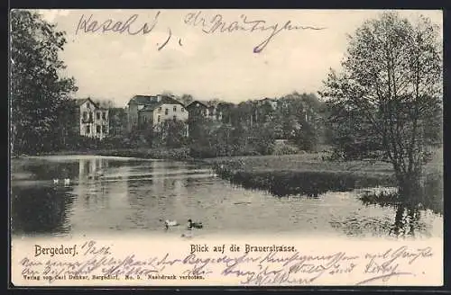 AK Bergedorf, Blick auf die Brauerstrasse