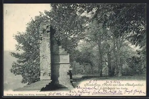 AK Heidelberg / Neckar, Partie aus dem Stückgarten, Lieblingsplatz von Goethe