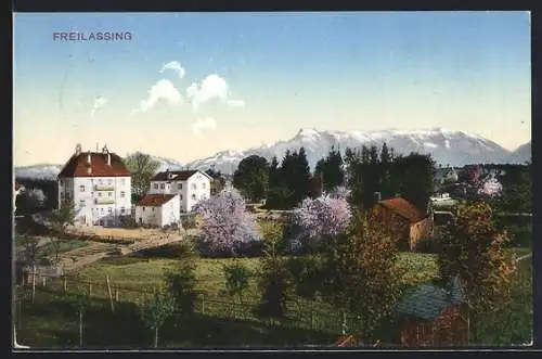 AK Freilassing, Ortspartie mit Bergen