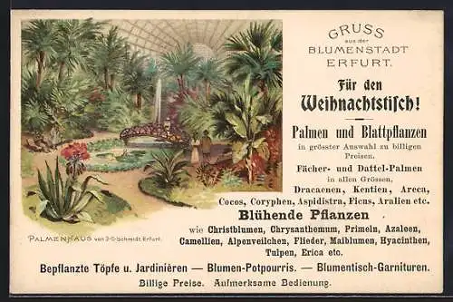 Lithographie Erfurt, Palmenhaus, Innenansicht