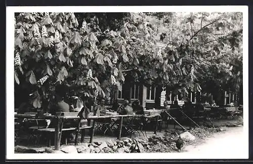 AK Loffenau, Gasthaus Plotzsägmühle