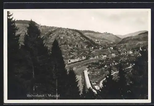 AK Weisenbach i. Murgtal, Teilansicht mit Strassenpartie