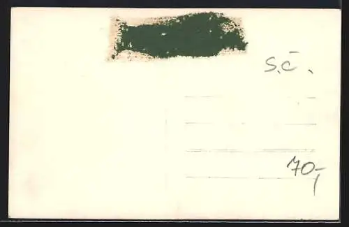 AK Tetschen-Bodenbach-Decin, Kettenbrücke und Schäferwand