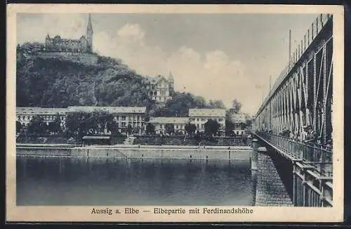 AK Aussig / Usti, Elbepartie mit Ferdinandshöhe und Gasthaus Bergwirtschaft