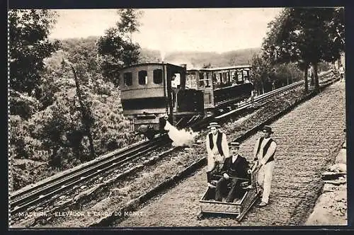 AK Madeira, Elevador e Carro do Monte, Bergbahn mit Strassenschlitten