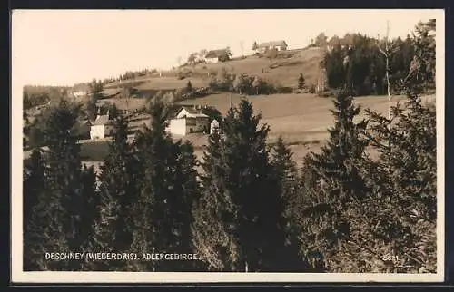 AK Deschney /Wiederdris /Adlergebirge, Panorama