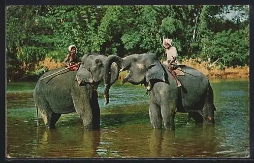 AK Ceylon, Elephants at play in the Mahaweli Ganga Near Kandy, Elefant