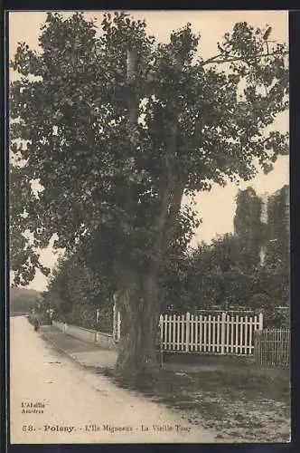 AK Poissy, L`Île Migneaux, La Vieille Tour