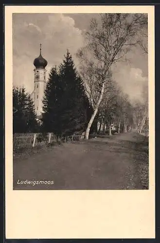 AK Ludwigsmoos, Allee-Strasse mit Blick auf die Kirche
