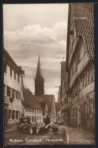 AK Wolframs-Eschenbach, Hauptstrasse