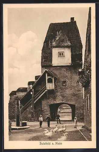 AK Sulzfeld / Main, Kinder auf einer Strasse mit Gänse