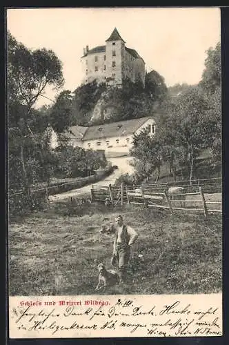 AK Sittendorf /N.-Oe., Schloss & Meierei Wildegg, Mann mit Hund