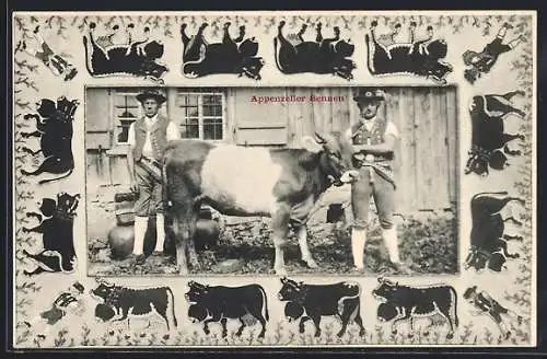 AK Appenzell, Appenzeller Sennen mit einem Kalb