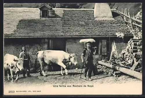 AK Rochers de Naye, Une ferme, Schweizer Bauern mit Kuh