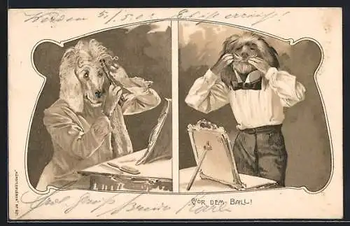 AK Vermenschlichte Hunde friesieren sich, Vor dem Ball