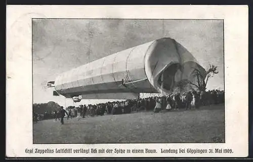 AK Göppingen, Landung 1909, Graf Zeppelins Luftschiff verfängt sich mit der Spitze in einem Baum