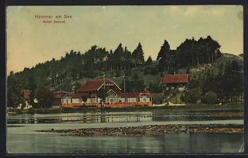 AK Hammer am See, Das Hotel Seehof