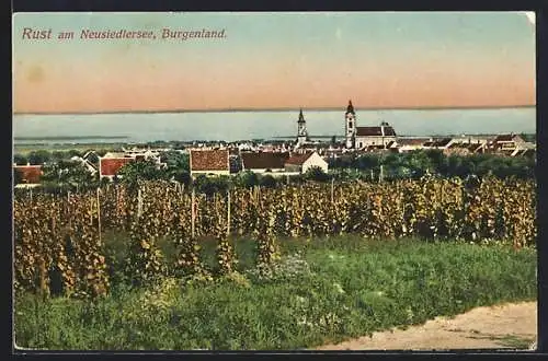 AK Rust am Neusiedlersee, Ortsansicht gegen die Küste