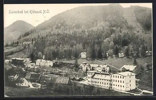 AK Kleinzell /N.-Oe., Salzerbad, Talansicht mit den Villen